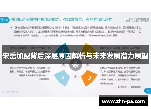 宋岳加盟背后深层原因解析与未来发展潜力展望