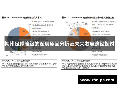 梅州足球降级的深层原因分析及未来发展路径探讨