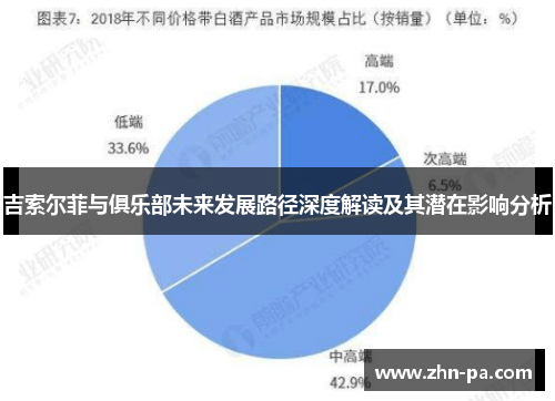 吉索尔菲与俱乐部未来发展路径深度解读及其潜在影响分析 吉索尔菲与俱乐部未来发展路径深度解读及其潜在影响分析