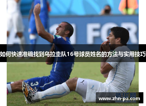 如何快速准确找到乌拉圭队16号球员姓名的方法与实用技巧